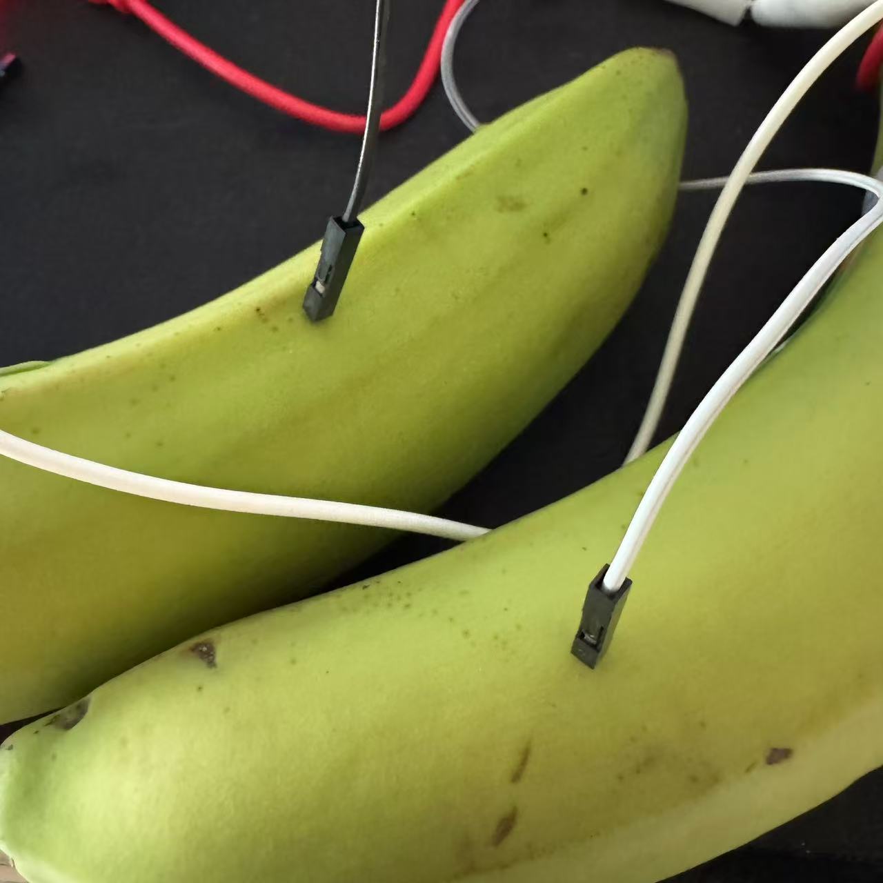 put a description here or you will lose grades