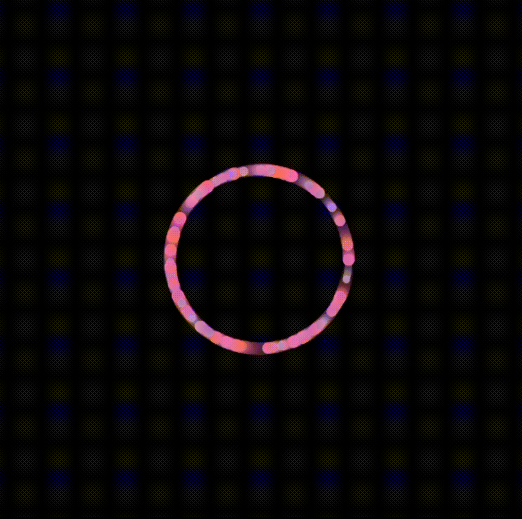 particles loop around